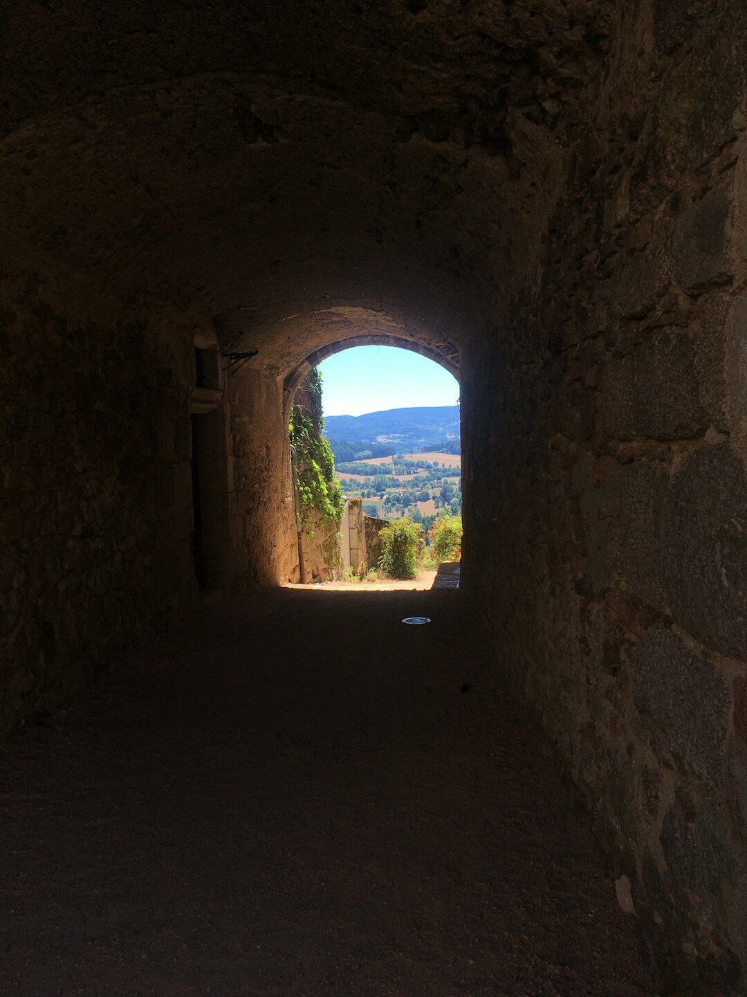 hidden castle passageway